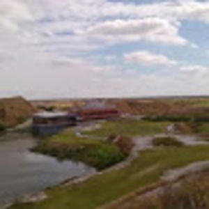 Meet your Posher, Wayne